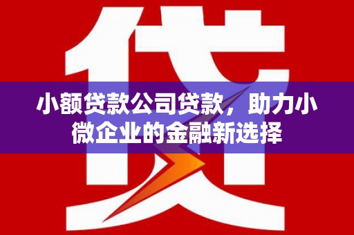 华安小额贷款公司贷款，助力小微企业的金融新选择