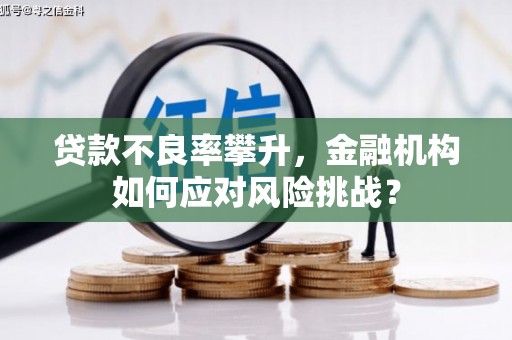华安贷款不良率攀升，金融机构如何应对风险挑战？