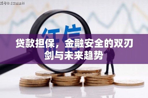 华安贷款担保，金融安全的双刃剑与未来趋势