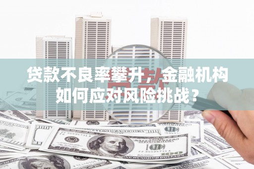 华安贷款不良率攀升，金融机构如何应对风险挑战？