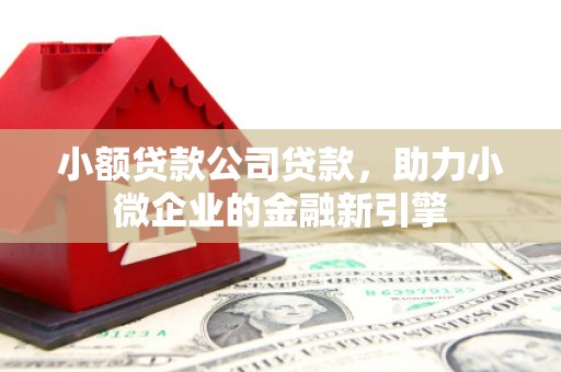 华安小额贷款公司贷款，助力小微企业的金融新引擎