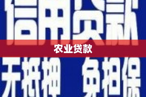 华安农业贷款