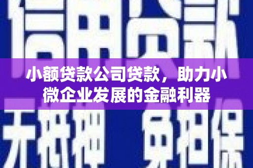 华安小额贷款公司贷款，助力小微企业发展的金融利器