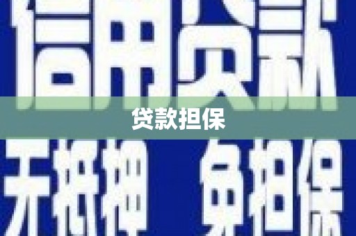 华安贷款担保