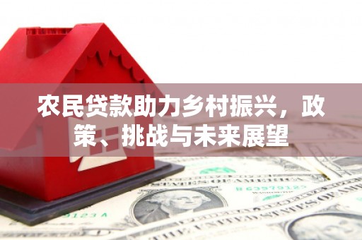 华安农民贷款助力乡村振兴，政策、挑战与未来展望