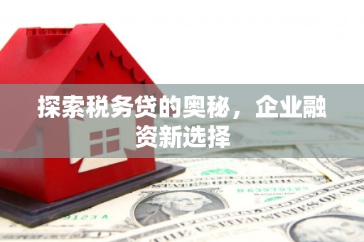 华安探索税务贷的奥秘，企业融资新选择