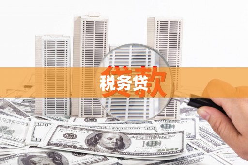 华安税务贷
