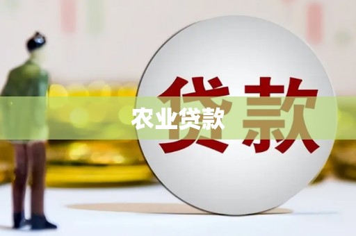 华安农业贷款