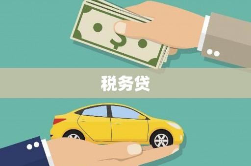 华安税务贷