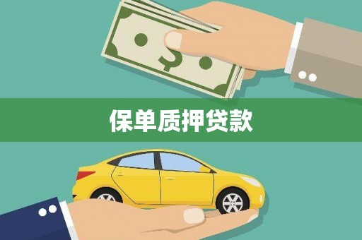 华安保单质押贷款