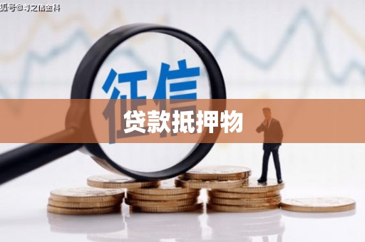 华安贷款抵押物
