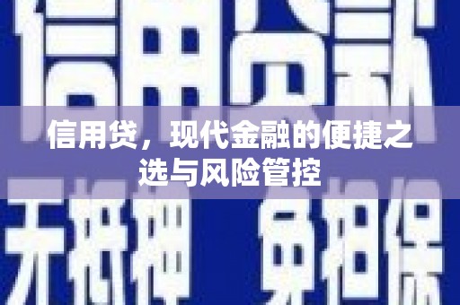 华安信用贷，现代金融的便捷之选与风险管控