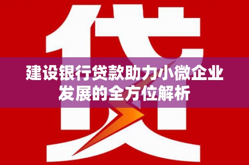 华安建设银行贷款助力小微企业发展的全方位解析