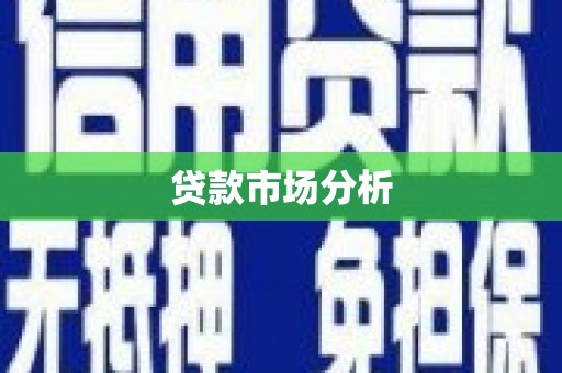 华安贷款市场分析