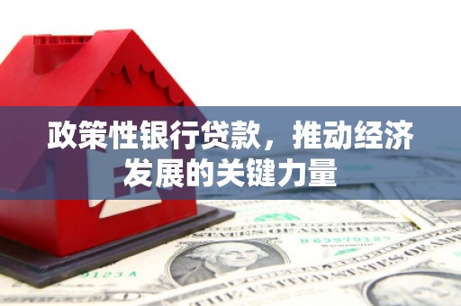 华安政策性银行贷款，推动经济发展的关键力量