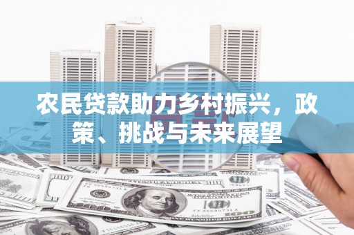 华安农民贷款助力乡村振兴，政策、挑战与未来展望