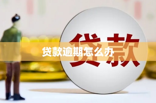 华安贷款逾期怎么办