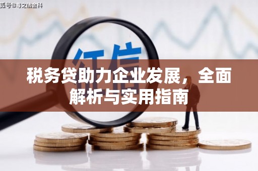华安税务贷助力企业发展，全面解析与实用指南