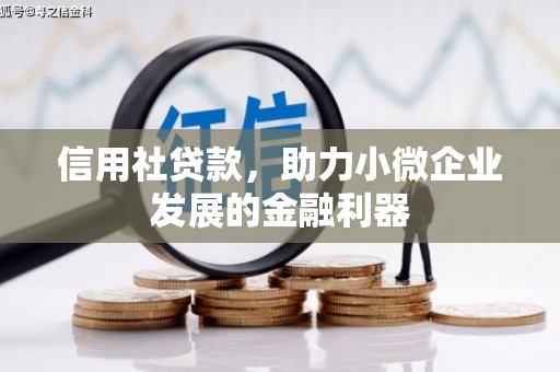 华安信用社贷款，助力小微企业发展的金融利器