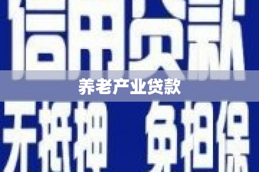 华安养老产业贷款