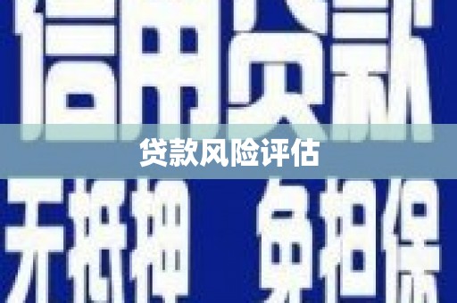 华安贷款风险评估