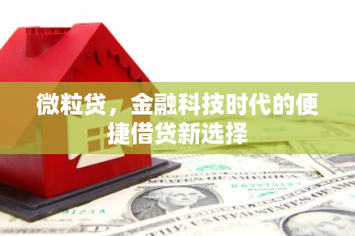 华安微粒贷，金融科技时代的便捷借贷新选择