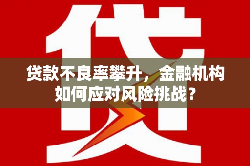 华安贷款不良率攀升，金融机构如何应对风险挑战？