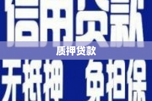 华安质押贷款