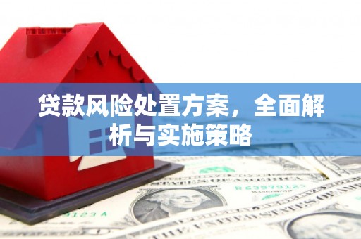 华安贷款风险处置方案，全面解析与实施策略