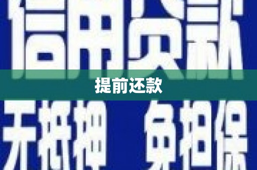 华安提前还款
